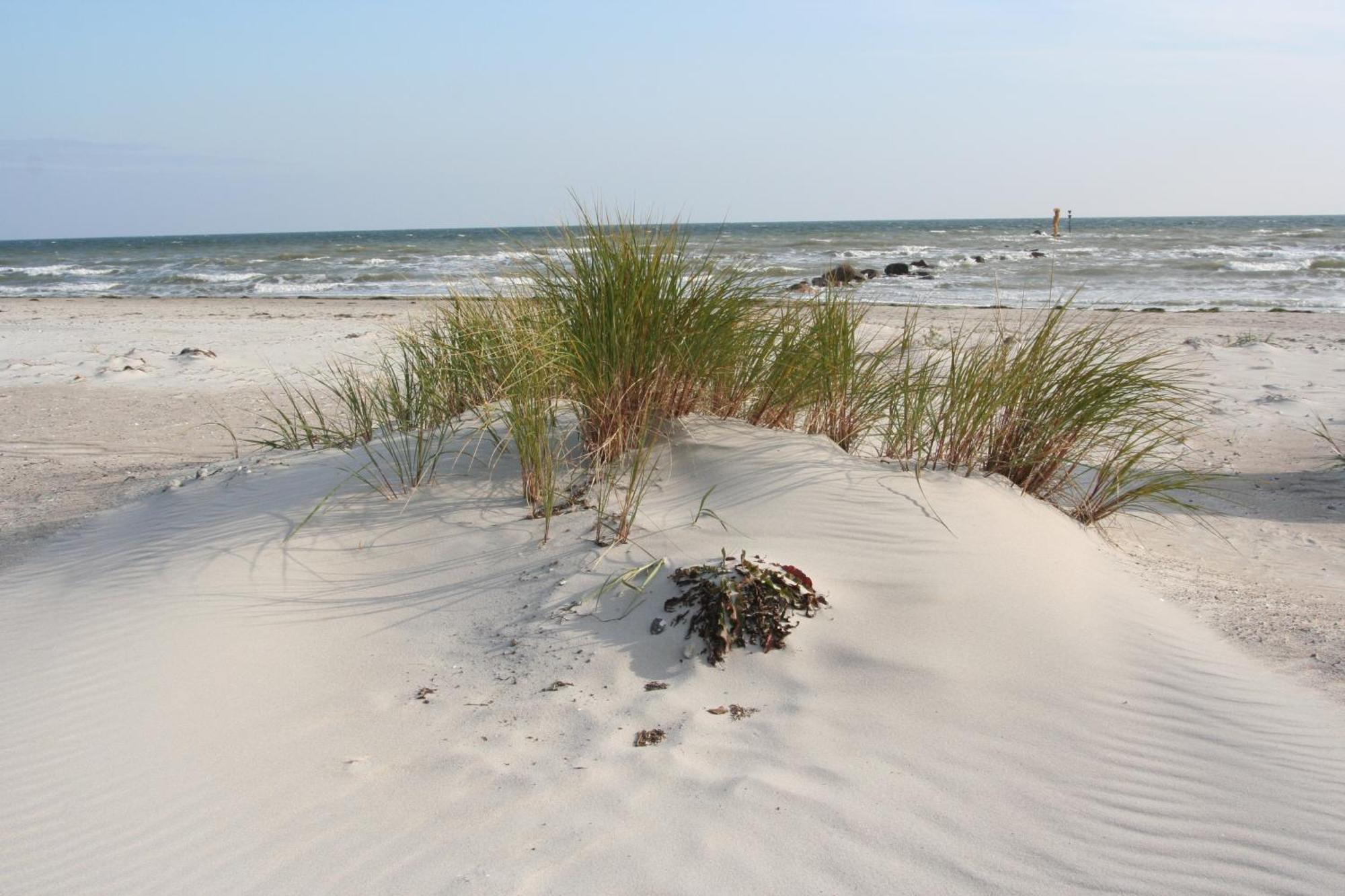Hotel Am Wind Großenbrode Zewnętrze zdjęcie